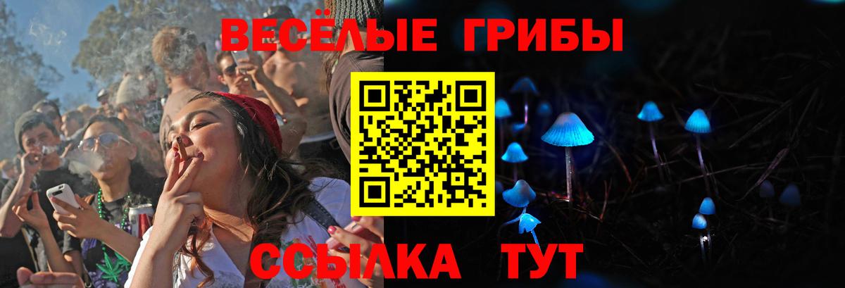 Псилоцибиновые грибы Psilocybe Волжск